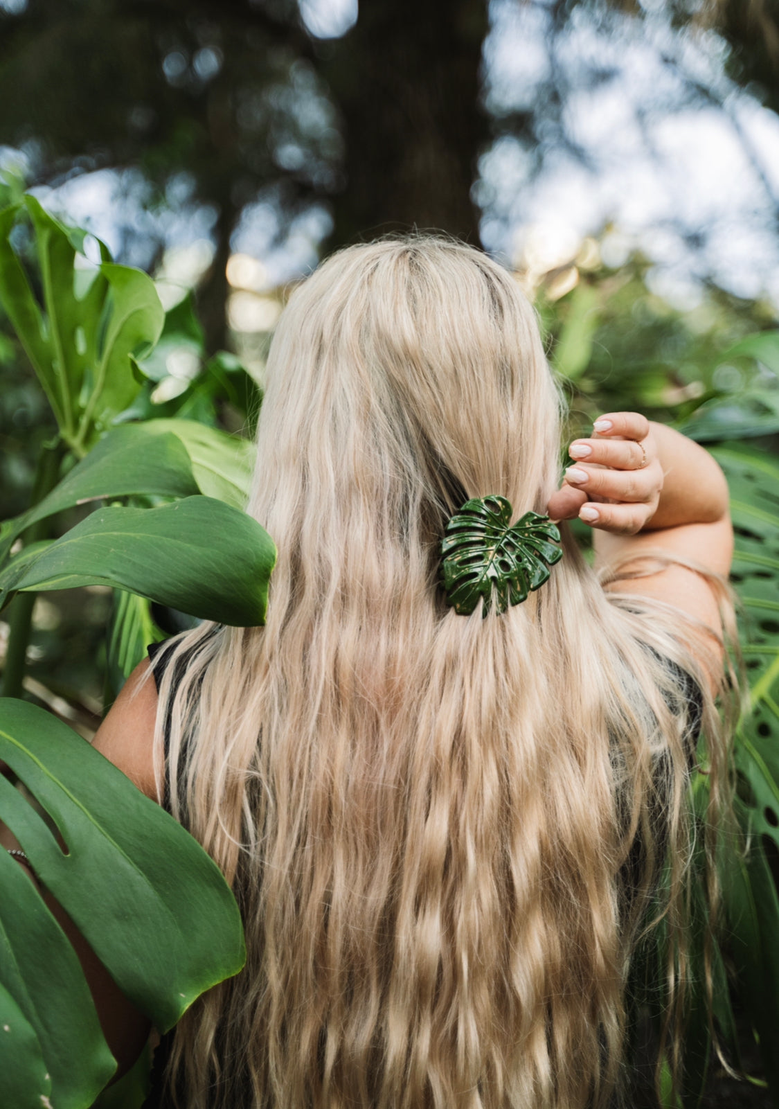 Golden Monstera Clip