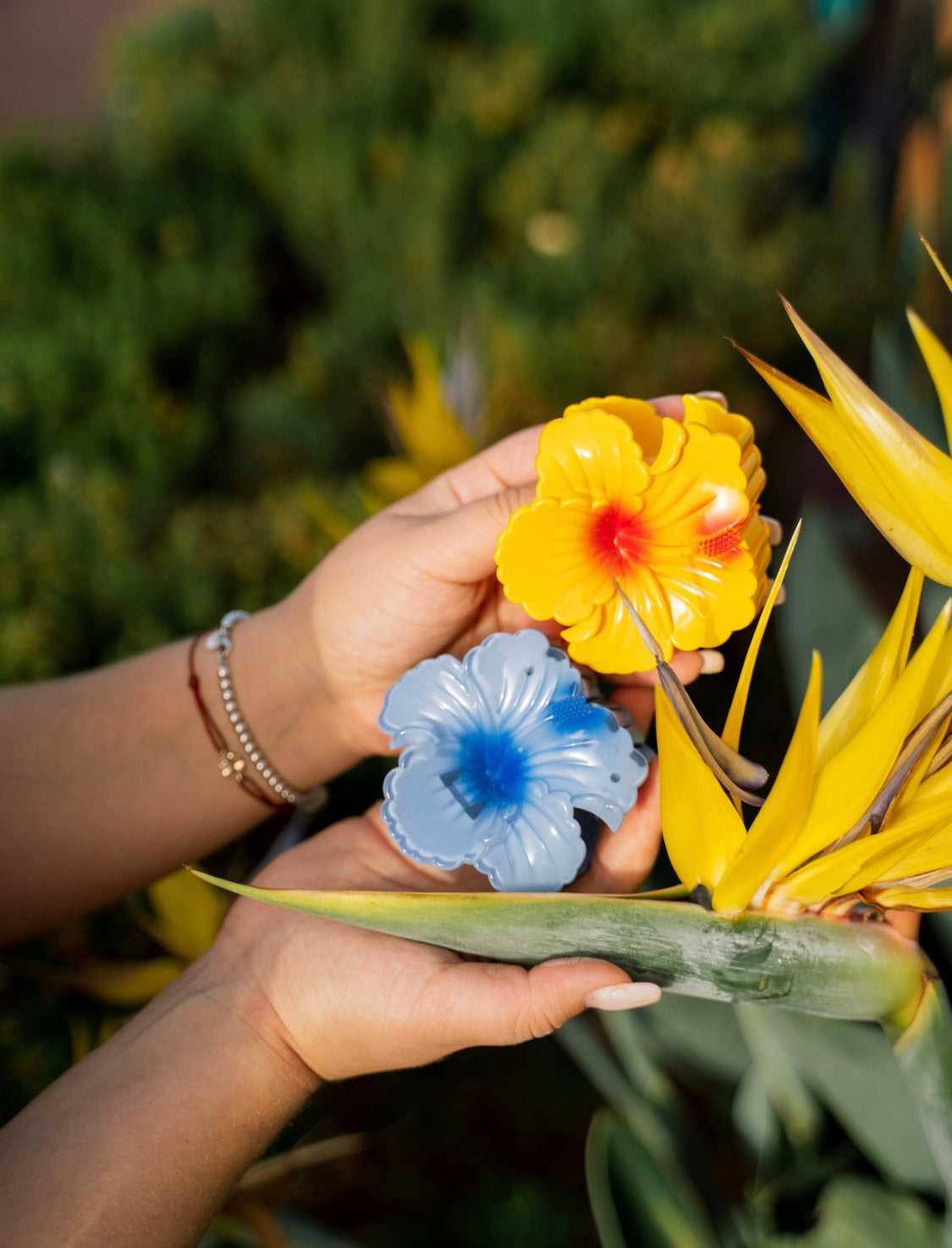 Yellow&Blue